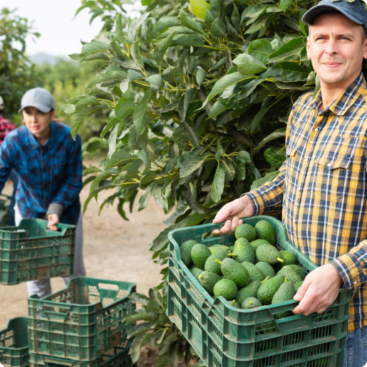 Farm Insurance